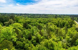 White Oak Rd, Gladewater, TX 75647
