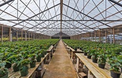 248 Piliwale Rd, Kula, HI 96790