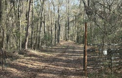 Lot 3 Whiddon Road, Canton, MS 39046