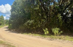 NETTLES Road, Florahome, FL 32140