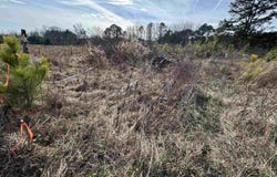 COUNTY ROAD 42 lot: 26.52+/- Acres, STEELE, AL 35987