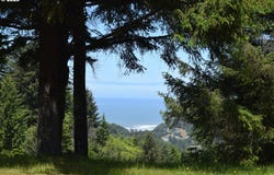27961 THIMBLEBERRY Rd, GoldBeach, OR 97444