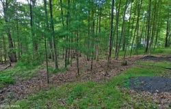 Violet Lane, Dingmans Ferry, PA 18328