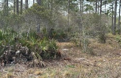 317 Paradise Ln, Apalachicola, FL 32320