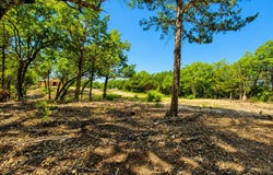1264 RedMoore Road, Whitewright, TX 75491