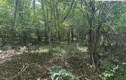 Riverwind Drive lot: 41, Lansing, NC 28643