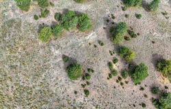 County Road 328, Westcliffe, CO 81252