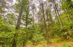 A Sugarberry Trail, Hochatown, OK 74728