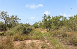 3624 County Road 304, Jourdanton, TX 78026