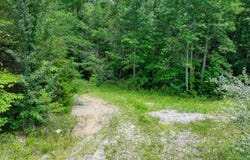 52.88 AC Nashville Hwy, Deer Lodge, TN 37726