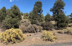Falling Springs Road, Big Bear City, CA 92314