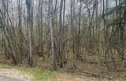 Callahan Road, Burke, NY 12917
