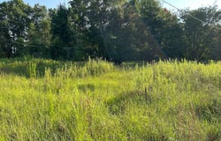 Larkspur Rd, Cordova, SC 29039
