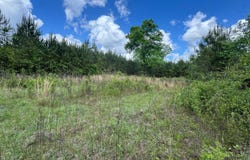 County Road 107, Red Level, AL 36474