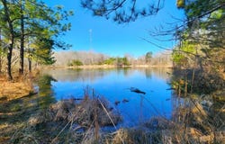 28.7 ac Bridgman Loop, Pontotoc, MS 38863