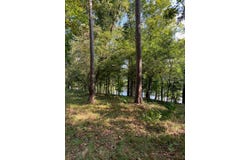 Naconiche Bend, Garrison, TX 75946
