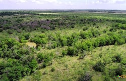 LCR 663, Kosse, TX 76653