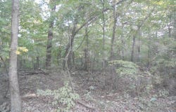 NC 3950, Jasper, AR 72641