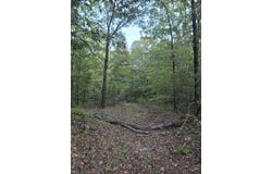 Robin Hood Rd, COFFEEVILLE, MS 38922