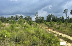 Bradley Road, Brewton, AL 36426