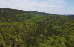 Tract 17 BLACK FORK TRAIL, Nashoba, OK 74558