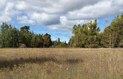 7777 Mulberry Lane, Charlevoix, MI 49720