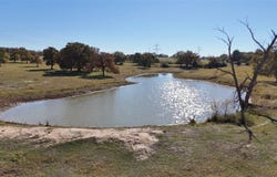 CR 481 Tract 2, Thrall, TX 76578