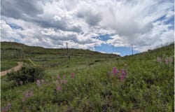 598 Mount Mcconnell Dr, Livermore, CO 80536