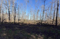Philis Dr, Hensley, AR 72065