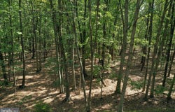 WALNUT RIDGE Road, OLDTOWN, MD 21555