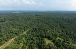 Wilkerson Road, Fayette, AL 35555