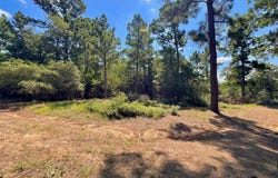 445 Pine Valley Loop, Smithville, TX 78957