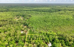 0.17 AC Tango Ln, Harold, FL 32563