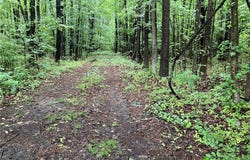 19.42 Ac Main Street, Mathews, VA 23109