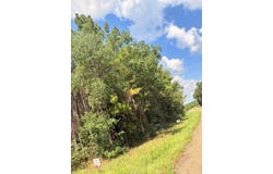FM 1751, San Augustine, TX 75972