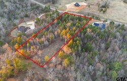 16935 Ridgeline Loop, Winona, TX 75792