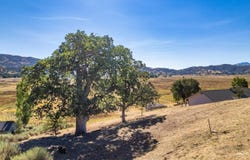 23700 Dart Drive, Tehachapi, CA 93561