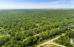 NE 156TH CT, WILLISTON, FL 32696