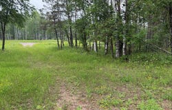 Bellagomba Road, Iron Mountain, MI 49801