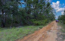 PINE Place, Interlachen, FL 32148