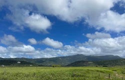 El RÃo, Las Piedras, PR 00771