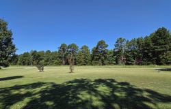 28 Catholic Point Road, Center Ridge, AR 72027