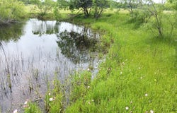 Hwy 7, Chilton, TX 76632