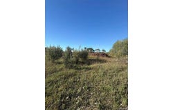 00 WINDMILL-PARCEL 4 WINDMILL LANE, Imlay Twp, MI 48444