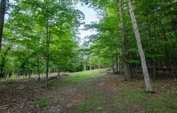 Manning Road, Wilmington, NY 12997