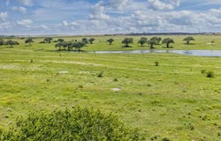 TBD Hohn Rd, Nordheim, TX 78141