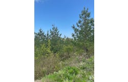 187 Sliding Hill Trail, Broken Bow, OK 74728
