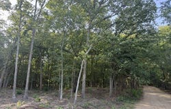 57 PR 43955, Blossom, TX 75416