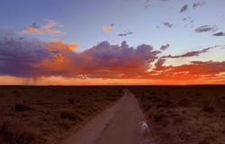 9972 Cattleman Road, Holbrook, AZ 86025