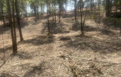 13 Stonechase Lane, Cohutta, GA 30710